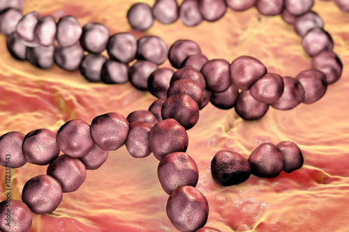 Streptococcus mutans bacteria, gram-positive cocci which cause dental caries, 3D illustration photo