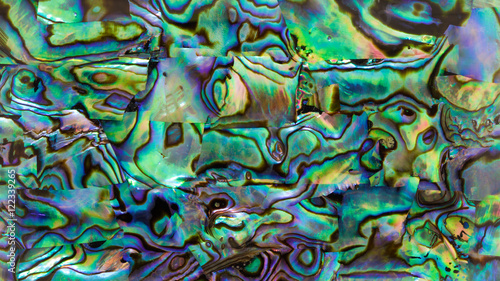 close up shot the iridescent of abalone shell texture background in HD ratio, 16x9 photo