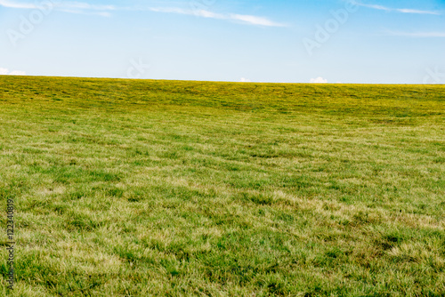  grass field in Auvergne