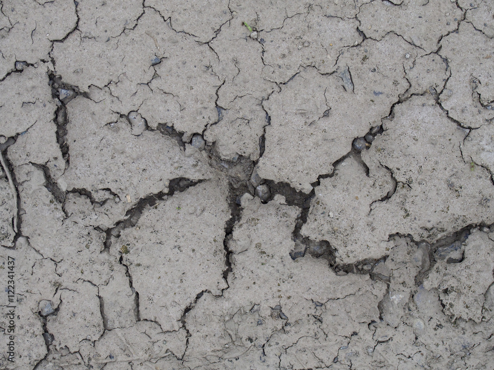 Fototapeta premium Crazing of the earth