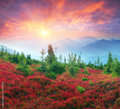 Autumn colors in the Carpathians