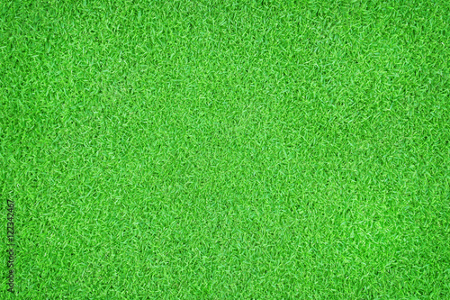 Seamless green grass natural background. Top view