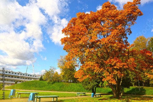 autumn city park landscape with ship photo