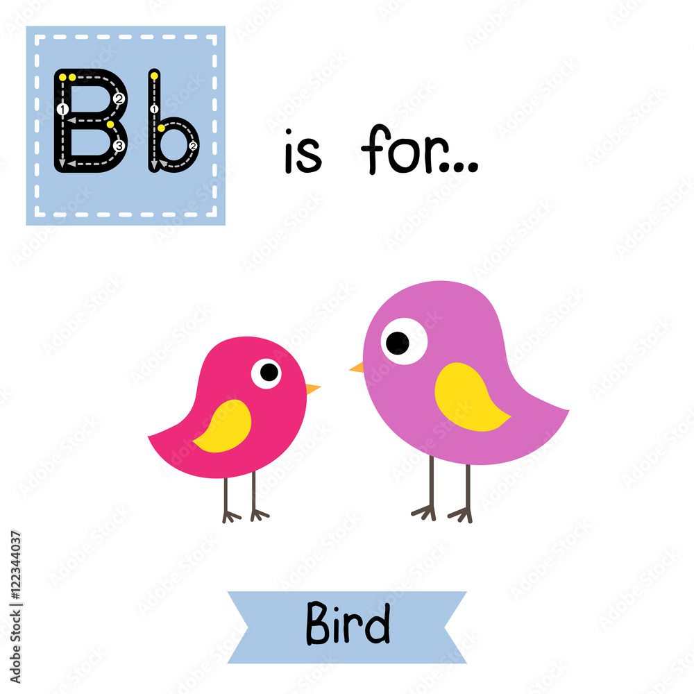 B letter tracing. Standing colorful Bird. Cute children zoo alphabet