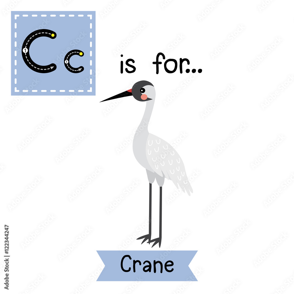 C letter tracing. Standing Crane bird. Cute children zoo alphabet flash  card. Funny cartoon animal. Kids abc education. Learning English  vocabulary. Vector illustration. Stock Vector | Adobe Stock
