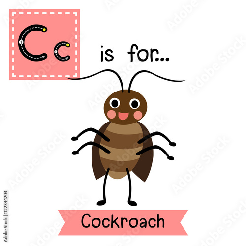 C letter tracing. Happy standing Cockroach. Cute children zoo alphabet flash card. Funny cartoon animal. Kids abc education. Learning English vocabulary. Vector illustration.