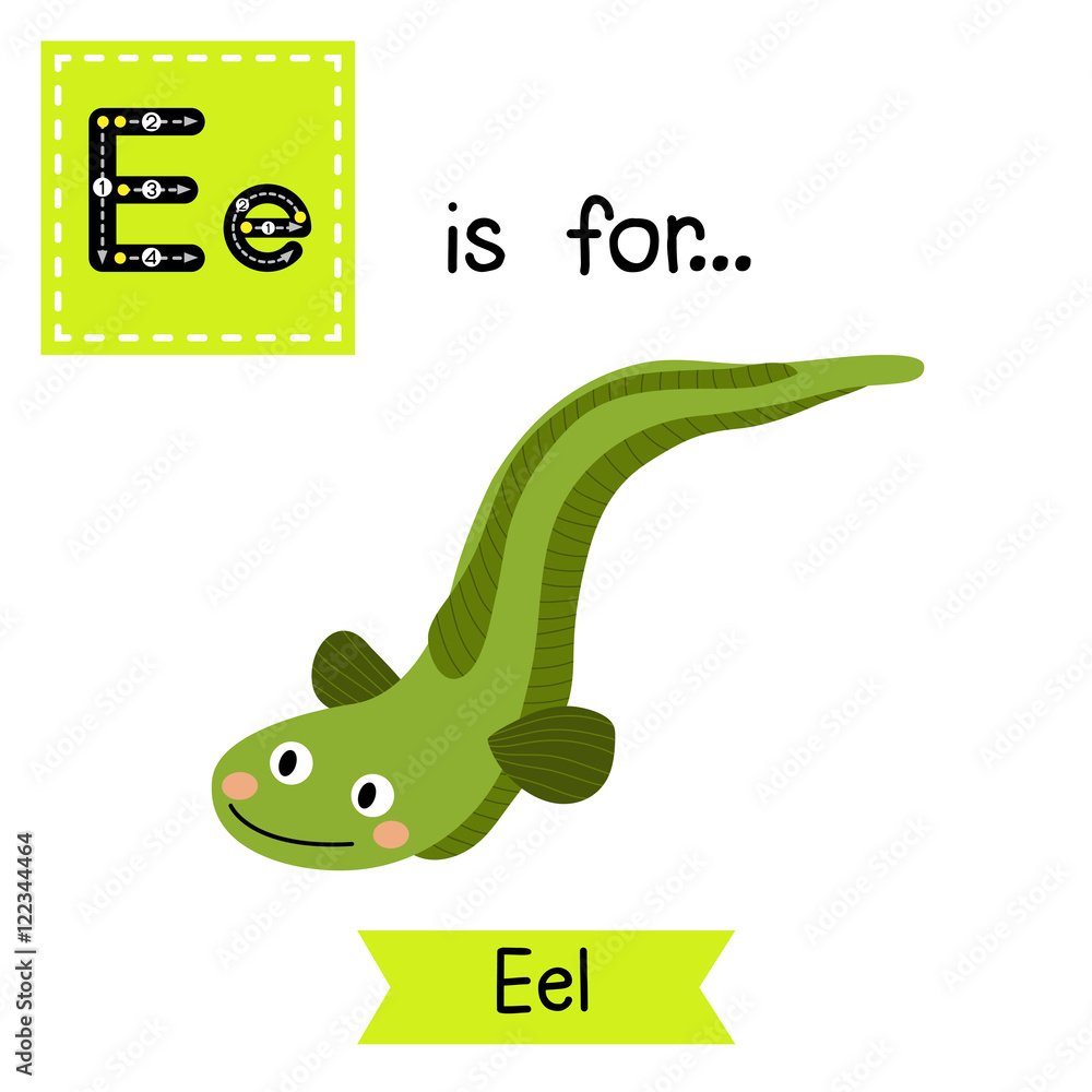 E letter tracing. Green Eel. Cute children zoo alphabet flash card