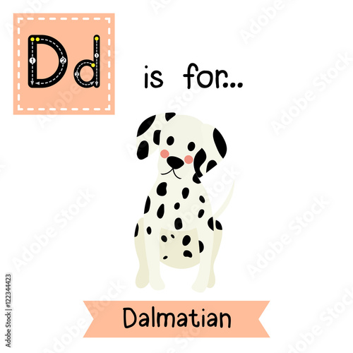 D letter tracing. Sitting Dalmatian. Cute children zoo alphabet flash card. Funny cartoon animal. Kids abc education. Learning English vocabulary. Vector illustration.