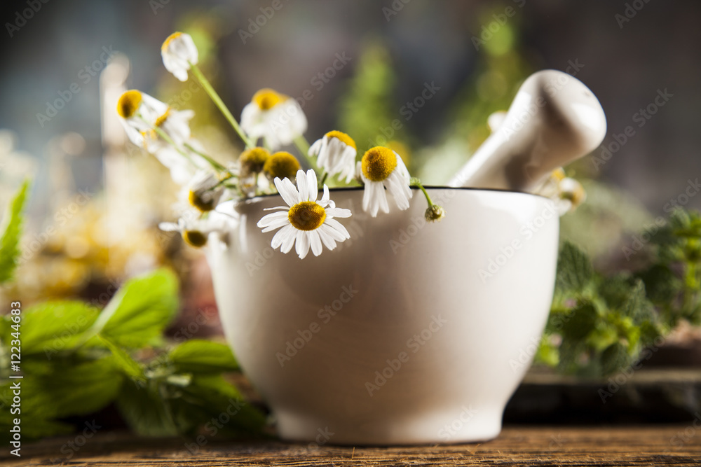 Alternative medicine, dried herbs and mortar on wooden desk back Alternative medicine, dried herbs and mortar on wooden desk back