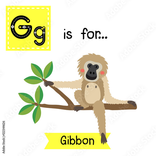 G letter tracing. Gibbon sitting on branch. Cute children zoo alphabet flash card. Funny cartoon animal. Kids abc education. Learning English vocabulary. Vector illustration.