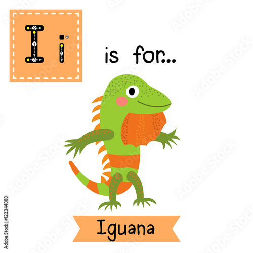 I letter tracing. Iguana lizard reptile standing on two legs. Cute children zoo alphabet flash card. Funny cartoon animal. Kids abc education. Learning English vocabulary. Vector illustration.