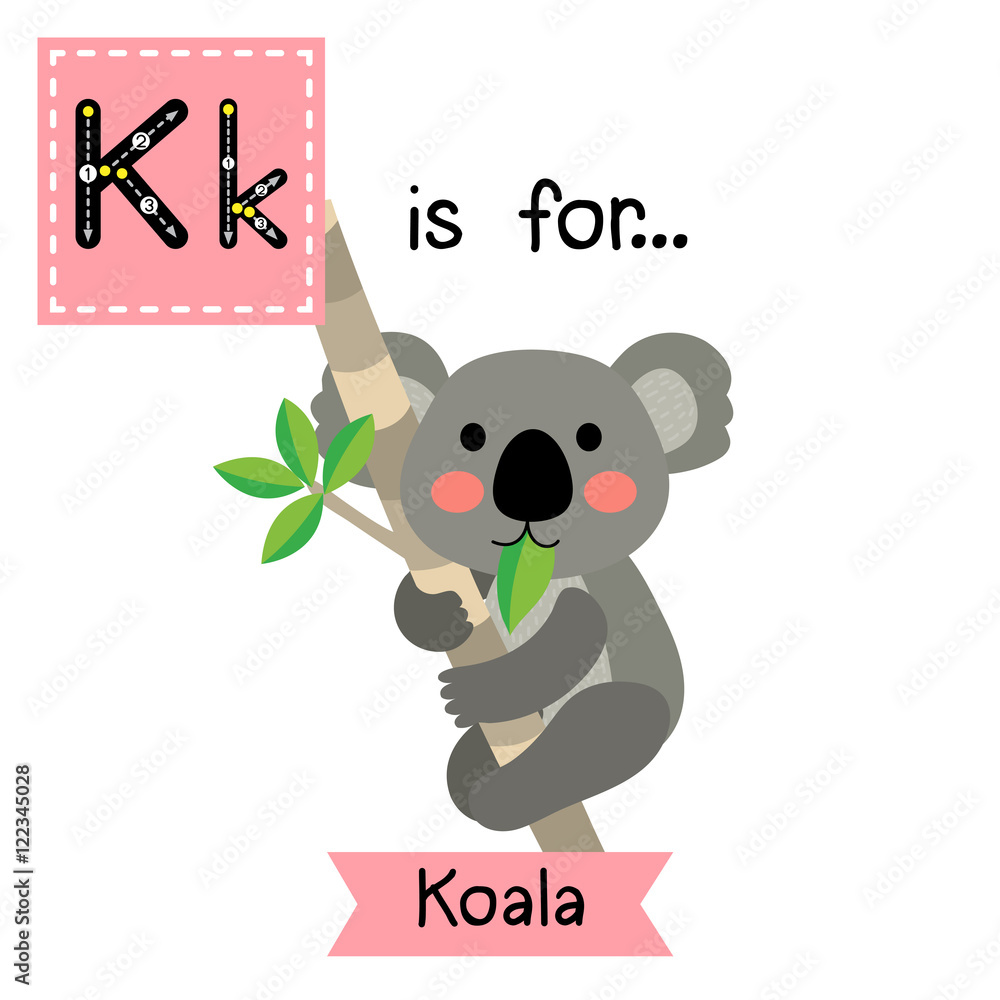 K Letter Tracing Koala Bear Climbing Tree Cute Children Zoo Alphabet