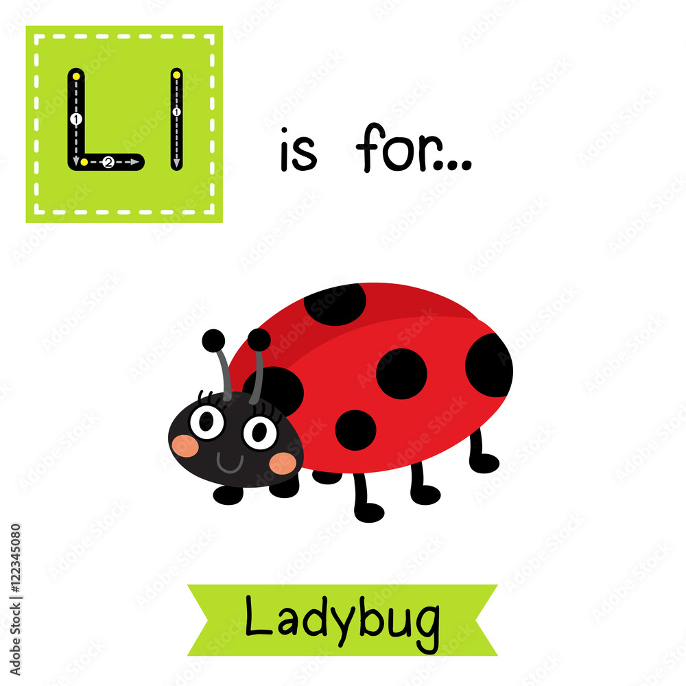 Fototapeta premium L letter tracing. Ladybug. Cute children zoo alphabet flash card. Funny cartoon animal. Kids abc education. Learning English vocabulary. Vector illustration.