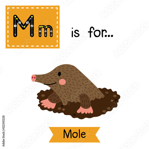 M letter tracing. Mole Digging Out of the Dirt. Cute children zoo alphabet flash card. Funny cartoon animal. Kids abc education. Learning English vocabulary. Vector illustration. photo