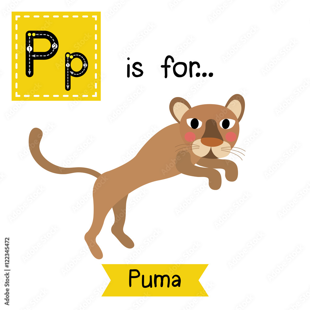 P letter tracing. Jumping Puma. Cute children zoo alphabet flash card.  Funny cartoon animal. Kids abc education. Learning English vocabulary.  Vector illustration. Stock Vector | Adobe Stock
