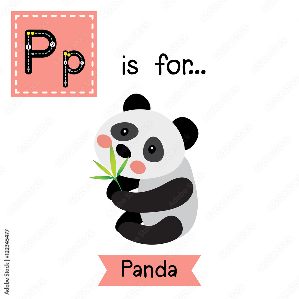 P Letter Tracing Panda Bear With Bamboo Leaves Cute Children Zoo Alphabet Flash Card Funny Cartoon Animal Kids Abc Education Learning English Vocabulary Vector Illustration Stock Vector Adobe Stock