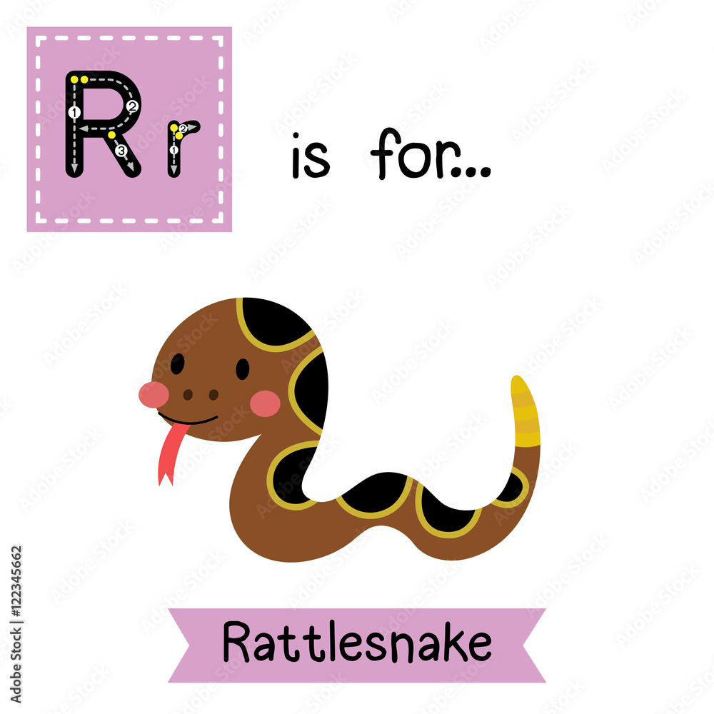 R letter tracing. Crawling Rattlesnake. Cute children zoo alphabet flash card. Funny cartoon animal. Kids abc education. Learning English vocabulary. Vector illustration. R letter tracing. Crawling Rattlesnake. Cute children zoo alphabet flash card. Funny cartoon animal. Kids abc education. Learning English vocabulary. Vector illustration.