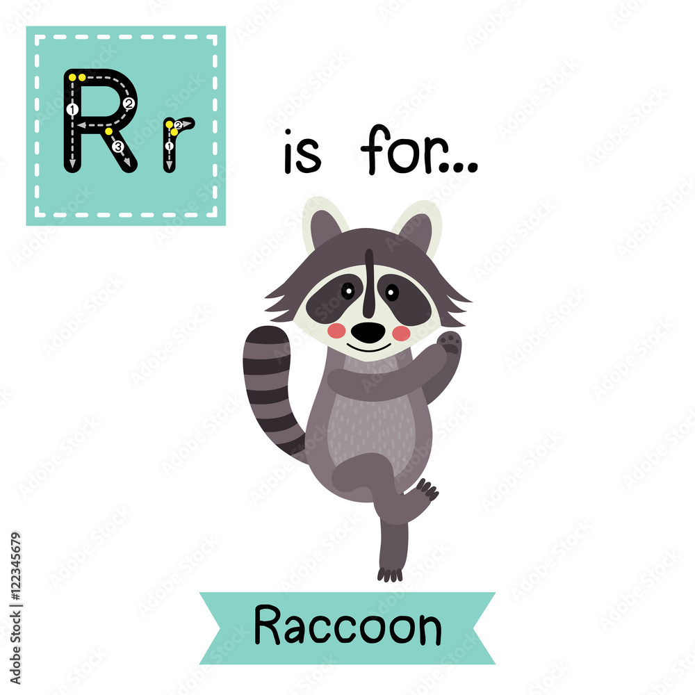 R letter tracing. Dancing Raccoon. Cute children zoo alphabet flash card. Funny cartoon animal. Kids abc education. Learning English vocabulary. Vector illustration. R letter tracing. Dancing Raccoon. Cute children zoo alphabet flash card. Funny cartoon animal. Kids abc education. Learning English vocabulary. Vector illustration.