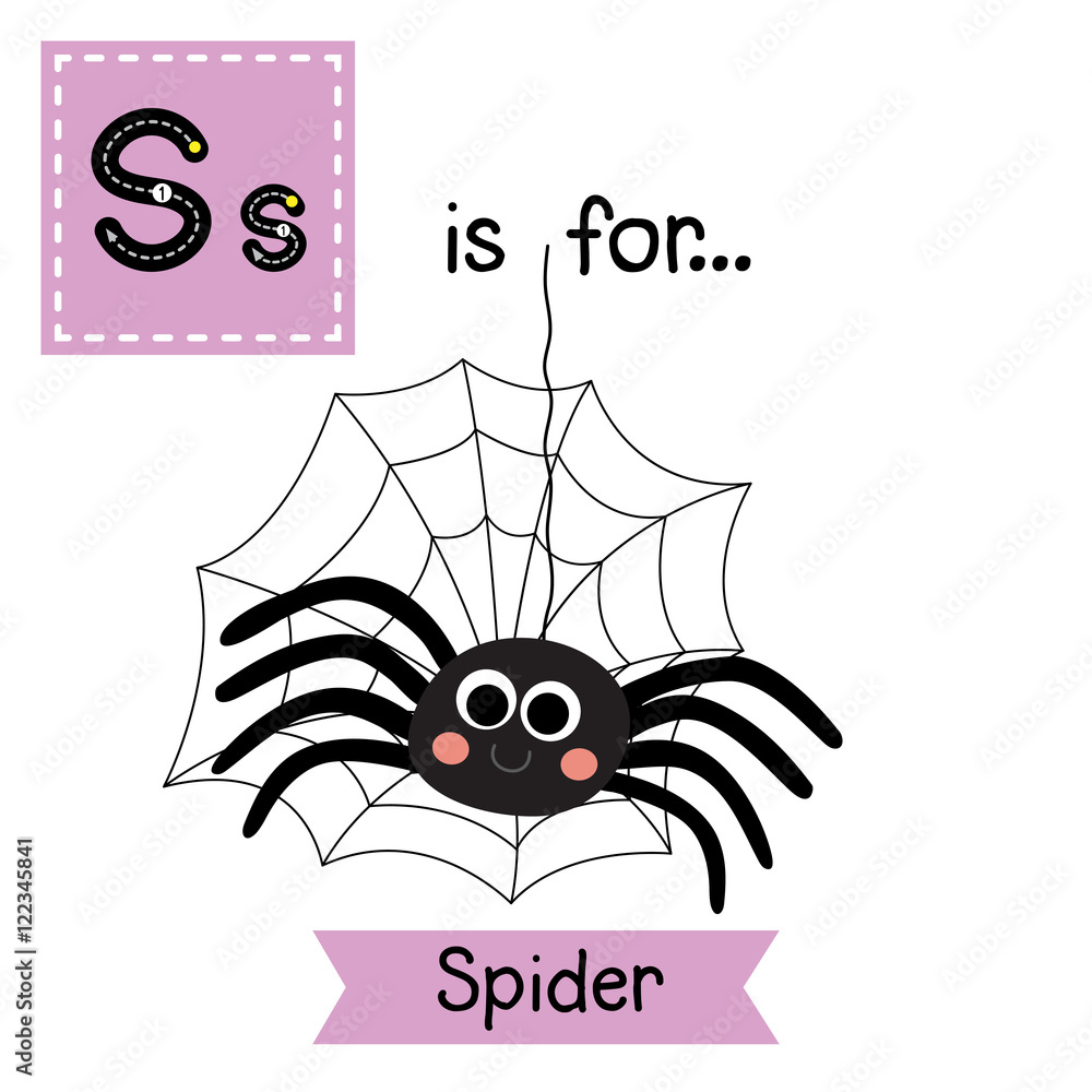 паук раскраска для детей. паучок на английском. карточка паук. паук по английски. паучок мультяшный.
