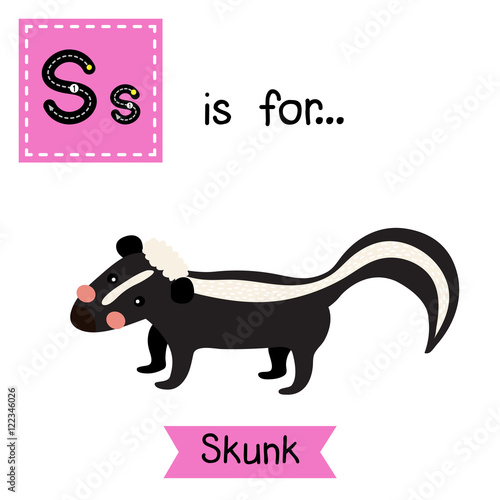S letter tracing. Skunk. Cute children zoo alphabet flash card. Funny cartoon animal. Kids abc education. Learning English vocabulary. Vector illustration.