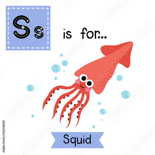 S letter tracing. Squid. Cute children zoo alphabet flash card. Funny cartoon animal. Kids abc education. Learning English vocabulary. Vector illustration.
