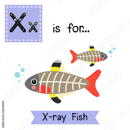 X letter tracing. X-ray Fish. Cute children zoo alphabet flash card. Funny cartoon animal. Kids abc education. Learning English vocabulary. Vector illustration.