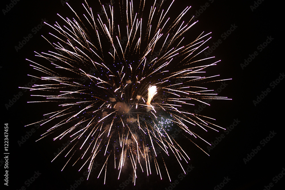 Fototapeta premium Beautiful firework explosion in the night sky