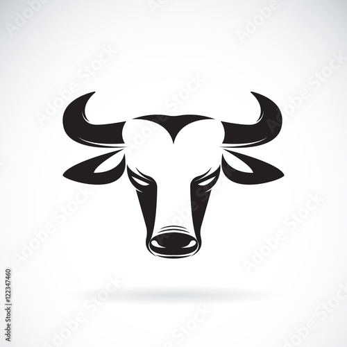 Vector of bull haed on white background.