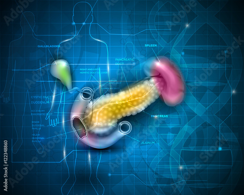Pancreas anatomy illustration on an abstract scientific background