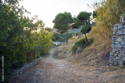 The path to the beach 