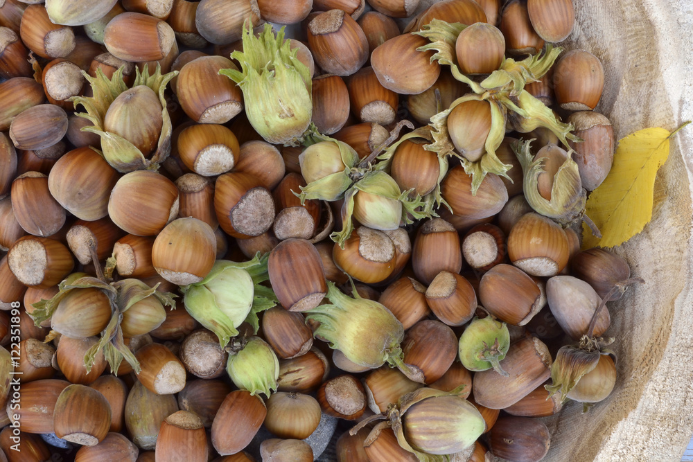 Close up of A wooden bowl with a lot of hazel chest nuts on a wooden background
Close up of A wooden bowl with a lot of hazel chest nuts on a wooden background