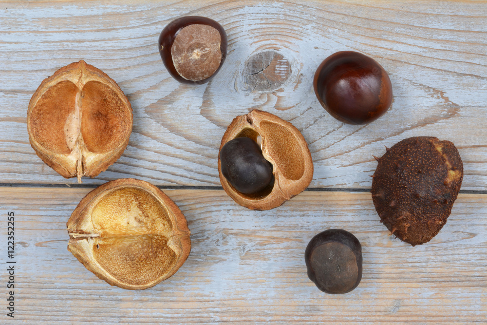 Close up of chest nuts on a wooden background with empty copy space
Close up of chest nuts on a wooden background with empty copy space