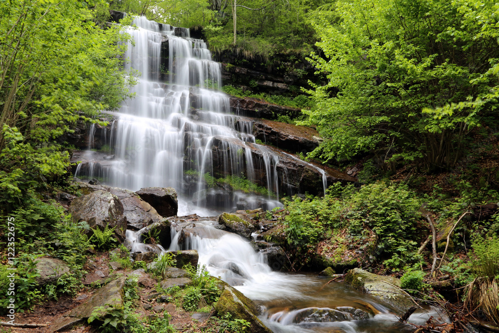 Obraz premium Tupavica waterfall, Stara mountain, Southeast Serbia