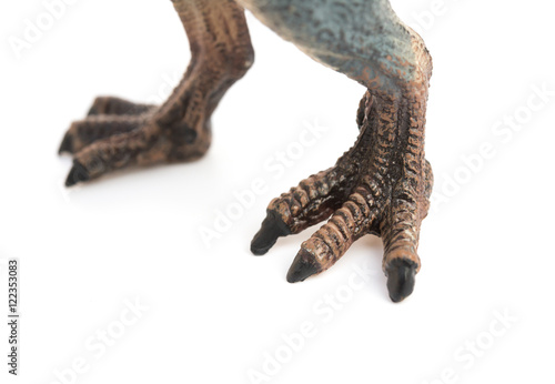 feet of spinosaurus toy on white background