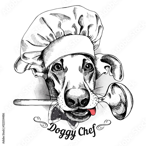 Dog portrait in a hat of chef and with ladle. Vector illustration.