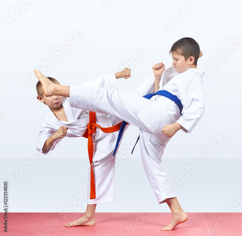 Two karateka beat kicks on the red mats