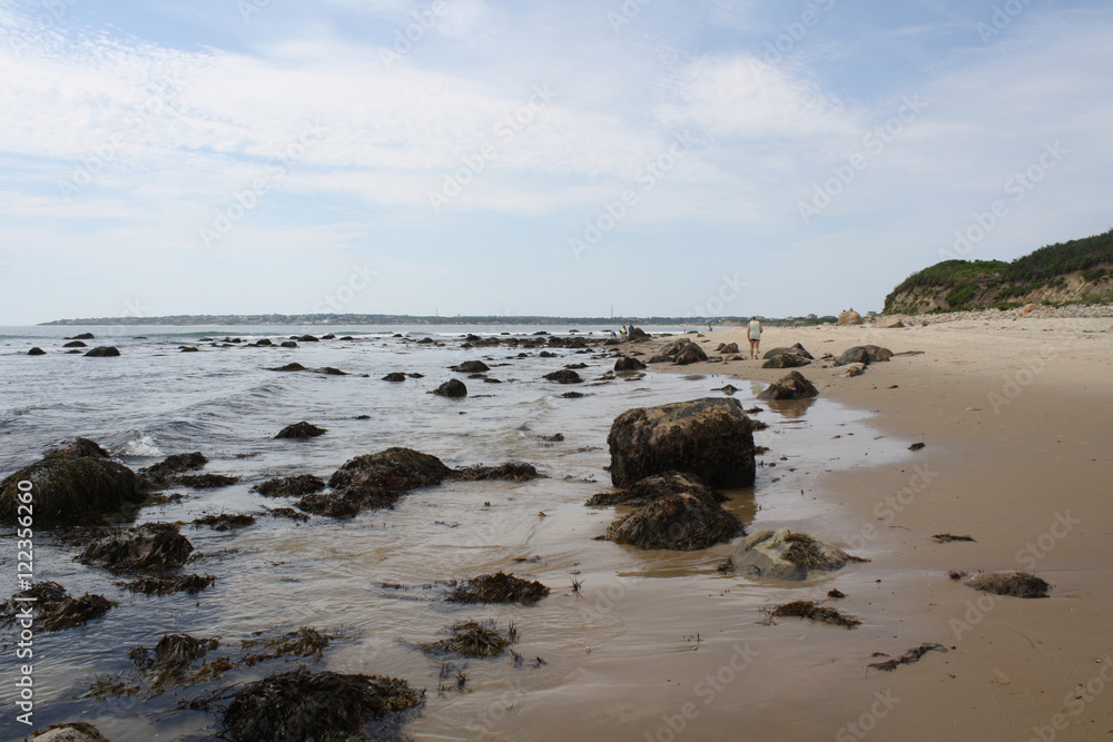 Fototapeta premium Rocks at the Beach in Summer