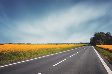empty asphalt road and floral field of yellow flowers. summer (spring, autumn) background