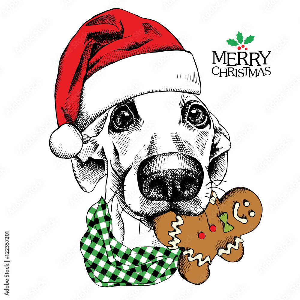 Can Dogs Have Gingerbread Man