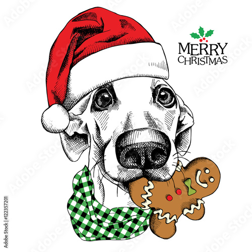 Christmas card. Funny dog portrait in red Santa's hat and with gingerbread man. Vector illustration.