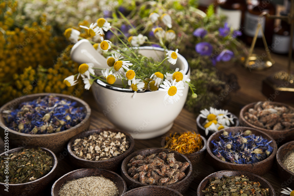 Herbs, berries and flowers with mortar, on wooden table backgrou Herbs, berries and flowers with mortar, on wooden table backgrou