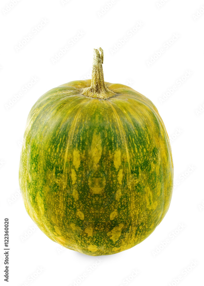 Pumpkin green colors on white background up side Pumpkin green colors on white background up side