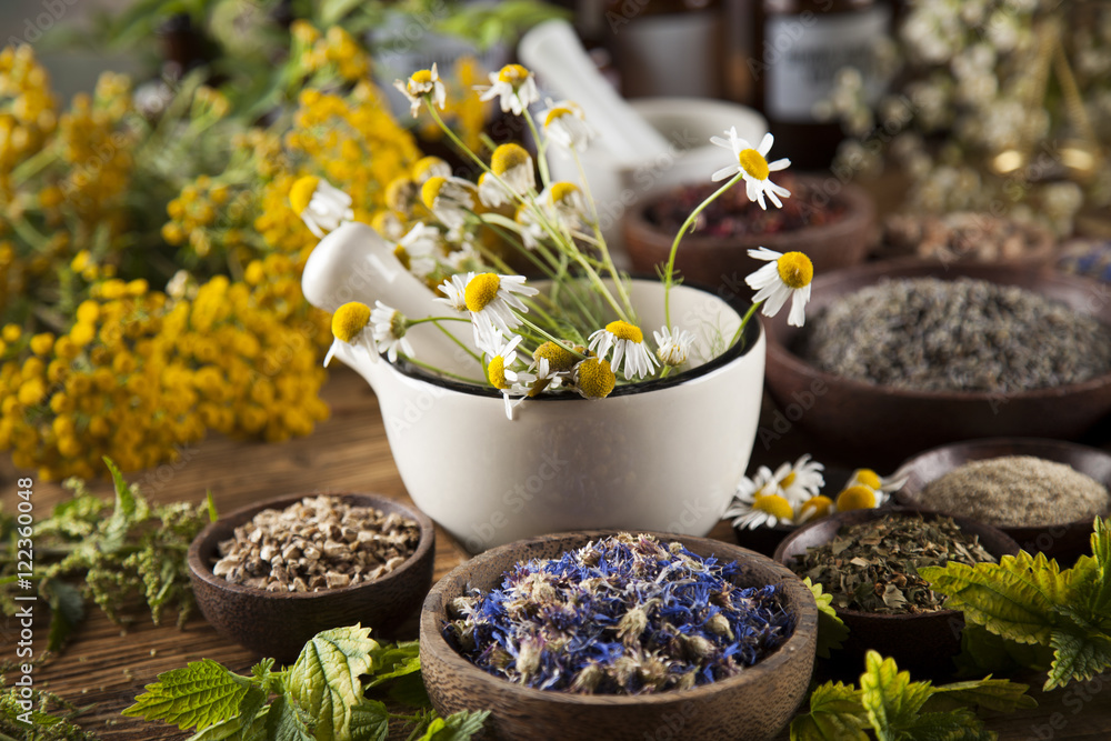 Alternative medicine, dried herbs and mortar on wooden desk back Alternative medicine, dried herbs and mortar on wooden desk back