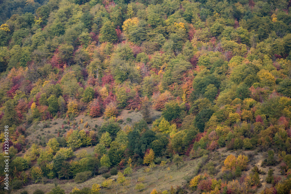 Naklejka premium Autumn at Churet, Mazandaran, Iran