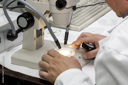 Microscopio en laboratorio científico. Manos de científico preparando para mirar a través de un microscopio.