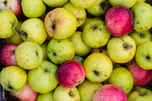 red and green apples background texture