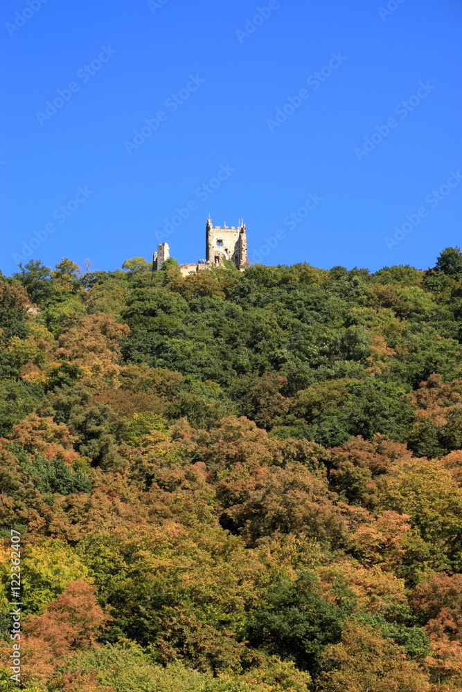 Drachenfels im Rheintal