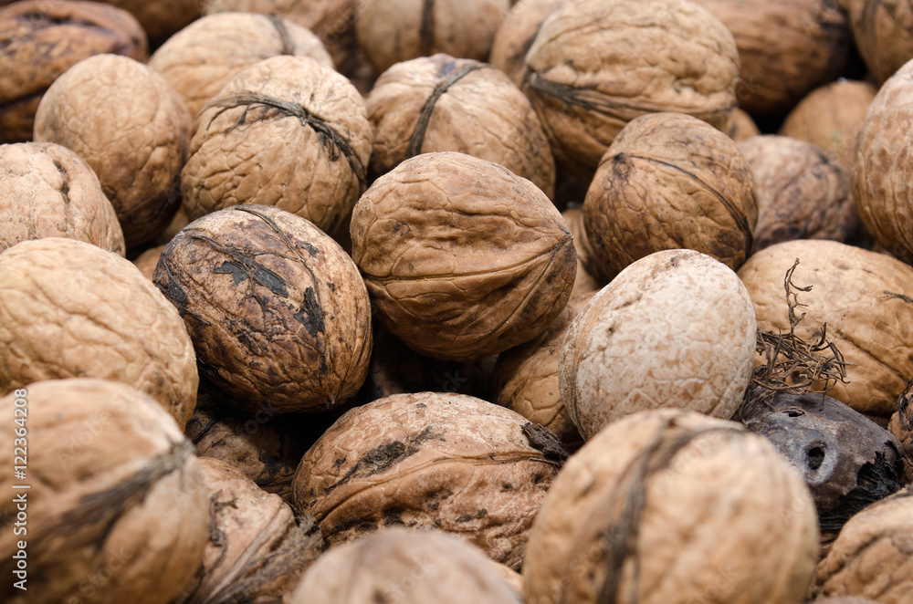Many walnuts Many walnuts