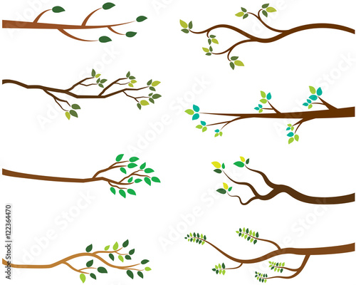 Obraz na plátne Vector Set of Tree Branches with Green Leaves