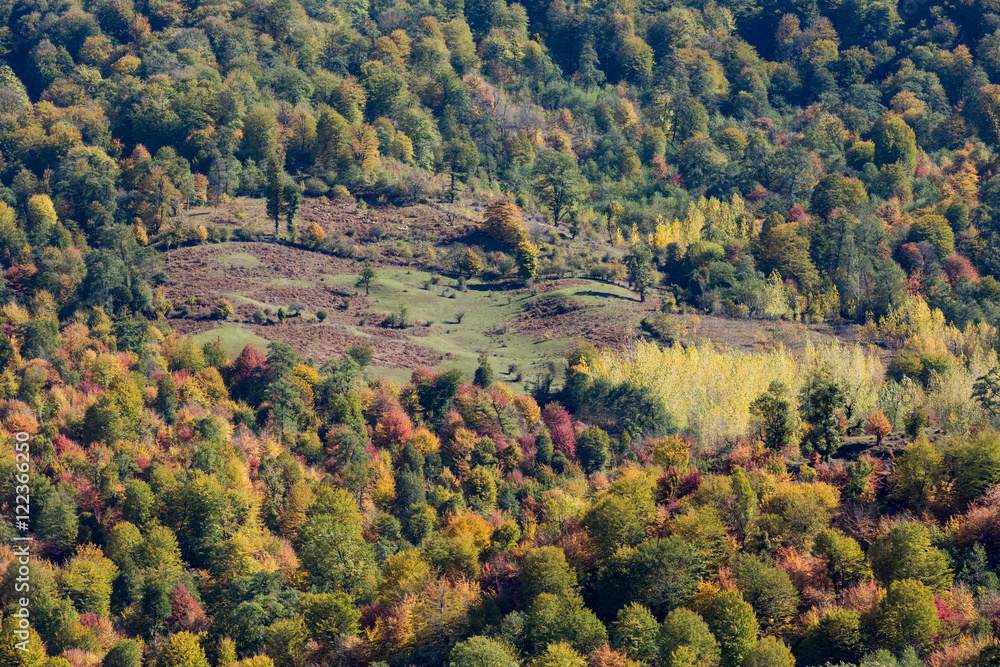 Obraz premium Autumn at Churet, Mazandaran, Iran